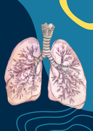 grafika przedstawia rysunek płuc